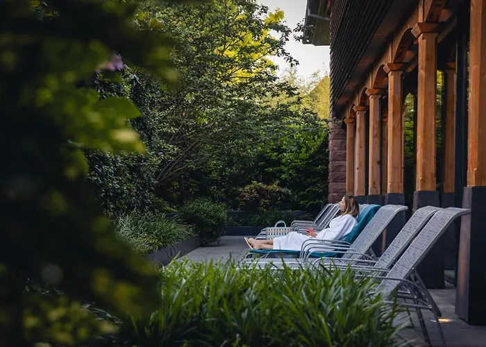 Hotel Le Parc Devient Yona Obernai